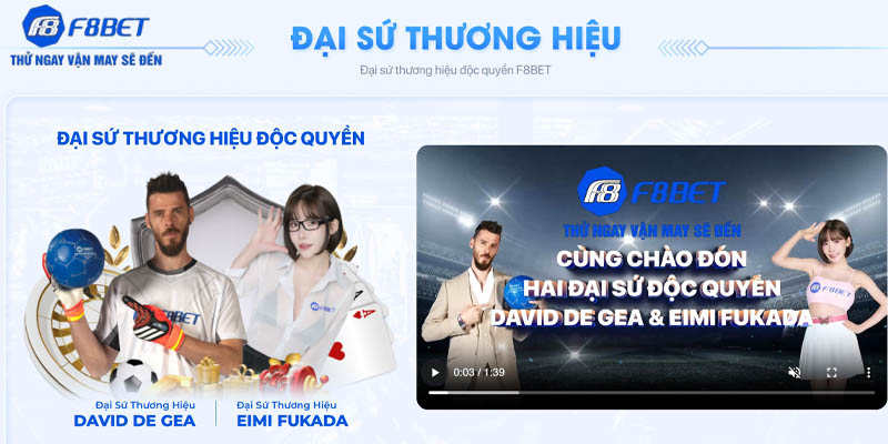 Khái quát những nét cơ bản khi giới thiệu F8bet